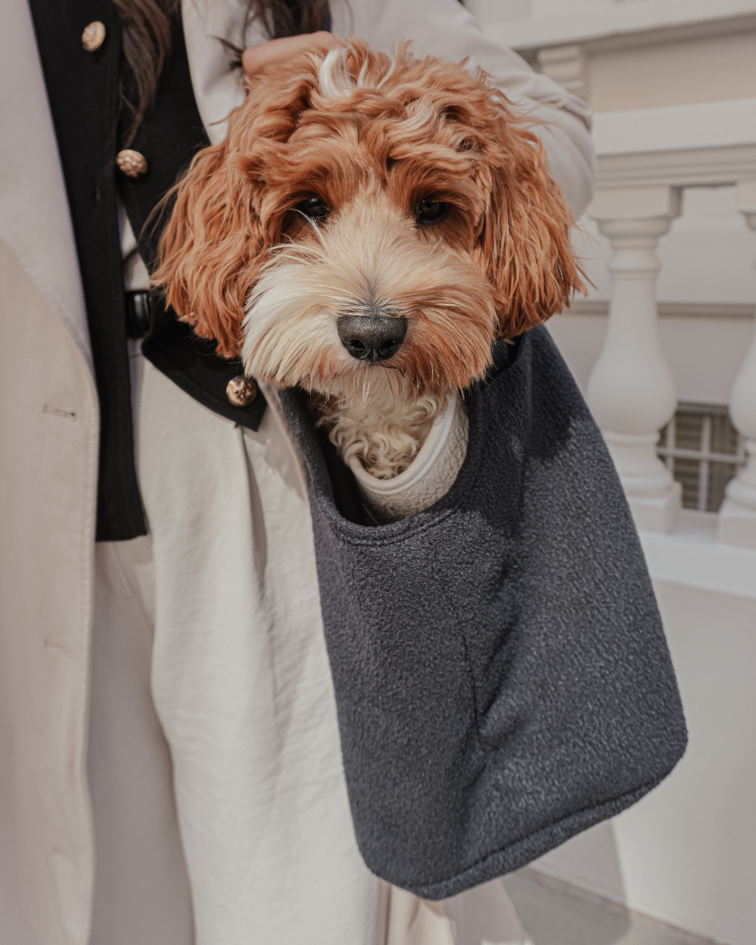 Midnight┃The Bouclé Carrier