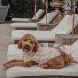 Hazelnut Stripe | The Cosy Cloak Drying Robe