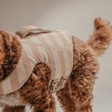 The Tide Rider Life Jacket