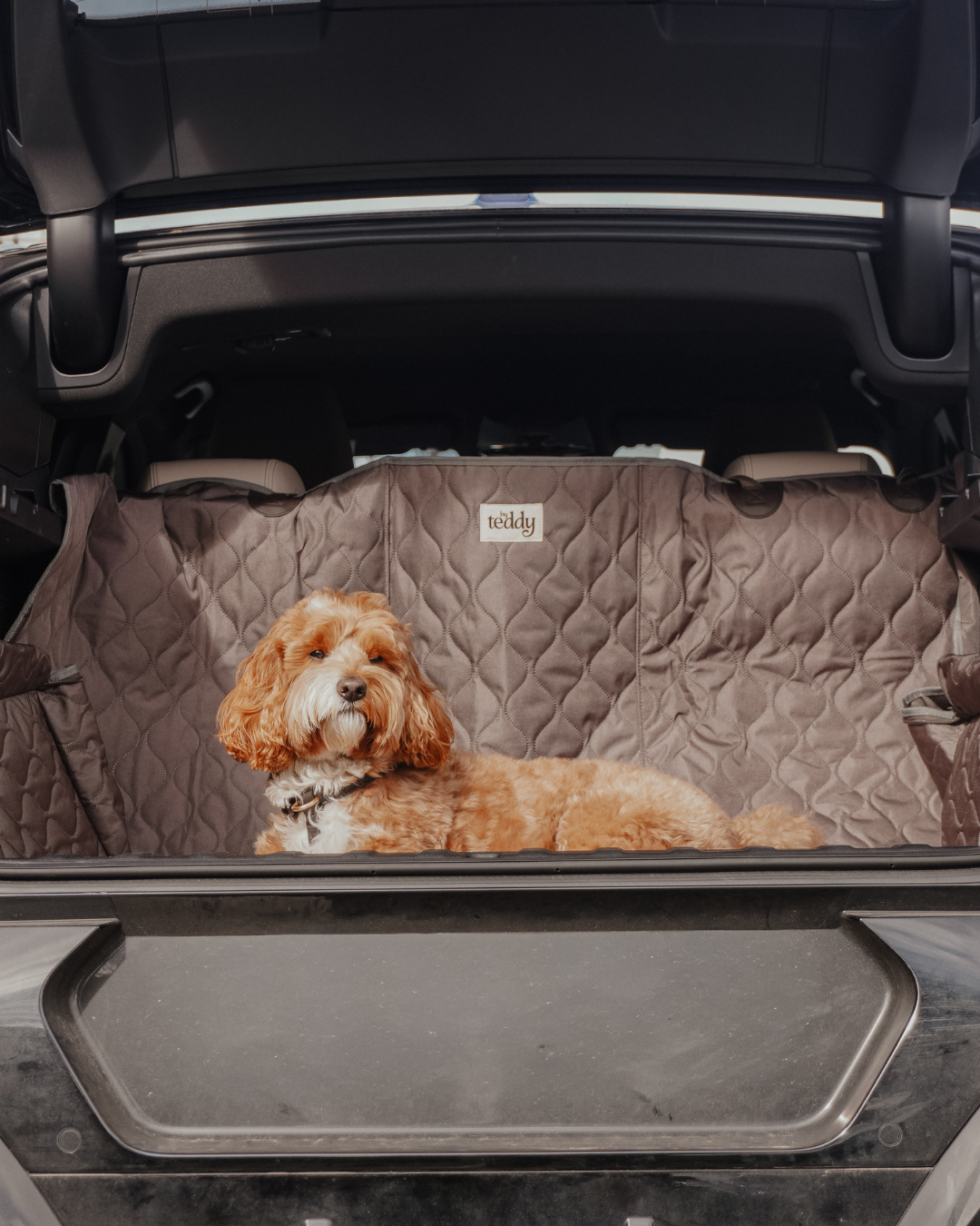 The Quilted Car Hammock
