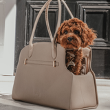 Hazelnut | The Studio Carrier