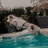 The Tide Rider Life Jacket