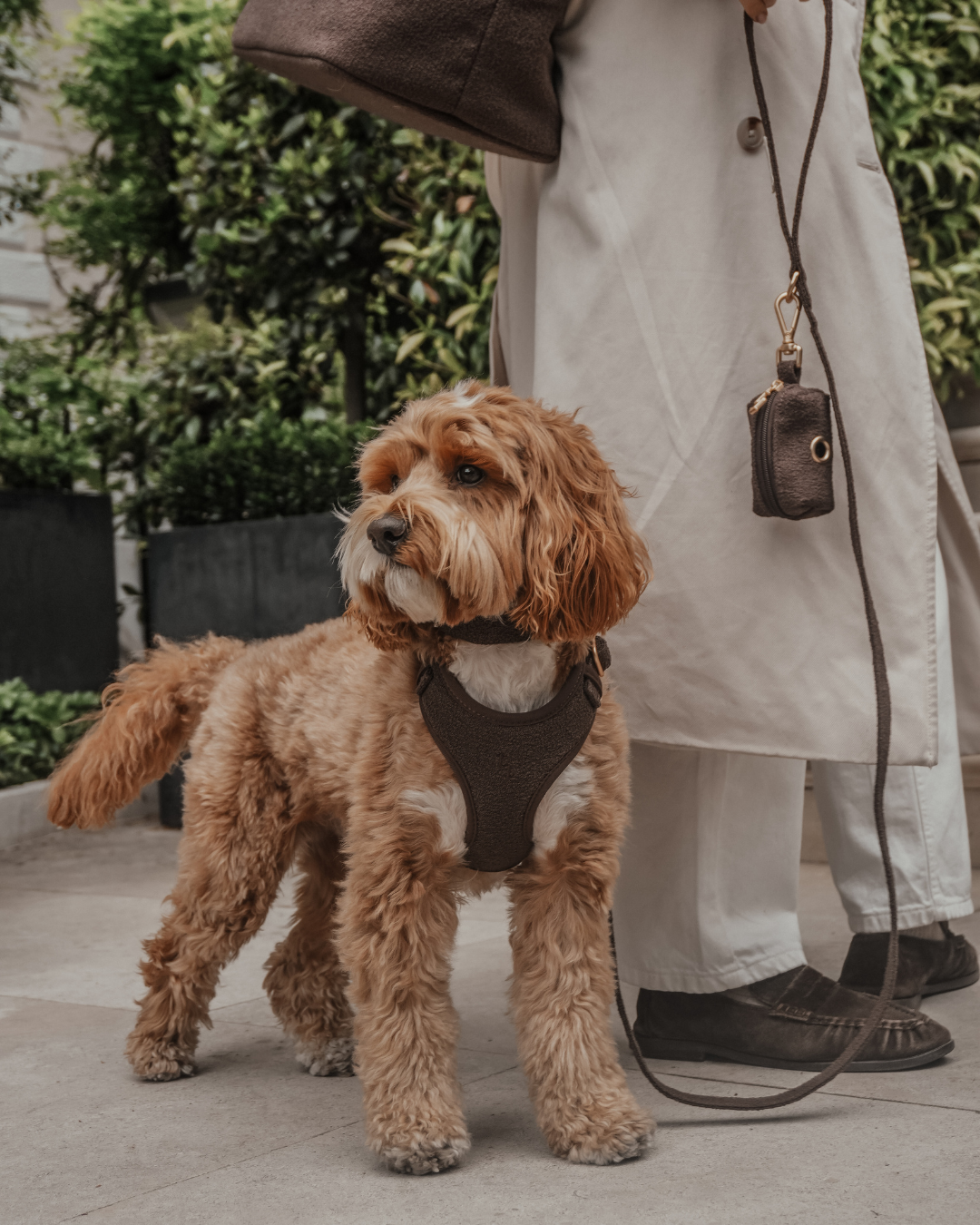 Chocolate┃Bouclé Poop Bag Holder