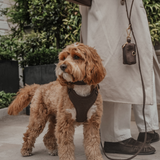 Chocolate┃Bouclé Poop Bag Holder