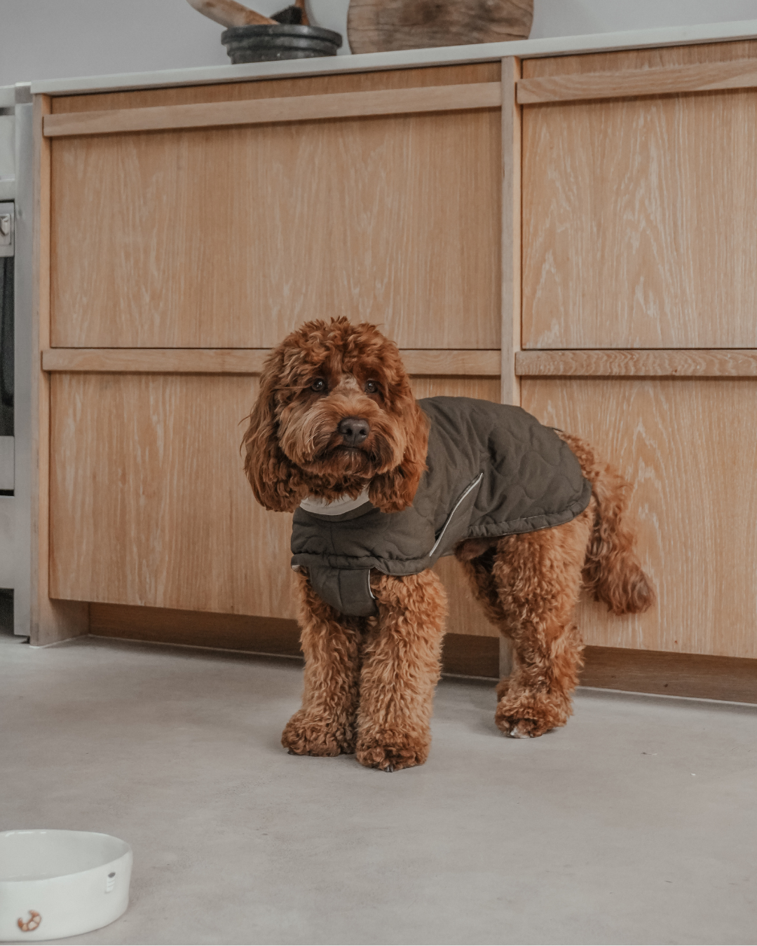 Forest | The Capsule Quilted Coat