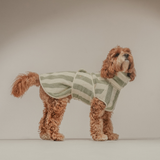 Matcha Stripe | The Cosy Cloak Drying Robe