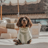 Matcha Stripe | The Cosy Cloak Drying Robe