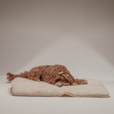 Marshmallow | The Quilted Settle Mat Tote