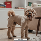 Hazelnut | The Capsule Fleece Bodysuit