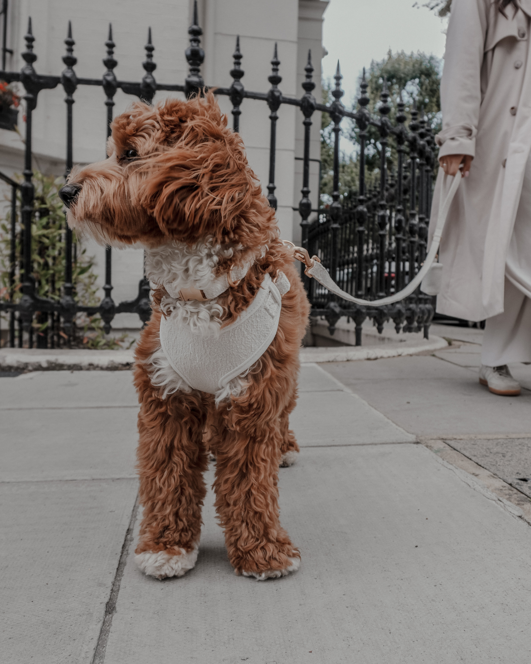 Marshmallow┃Bouclé Adjustable Harness