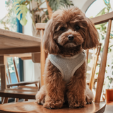 Matcha┃Bouclé Adjustable Harness