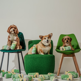 PerfectTed x By Teddy | Vanilla Matcha Latte Plush Toy