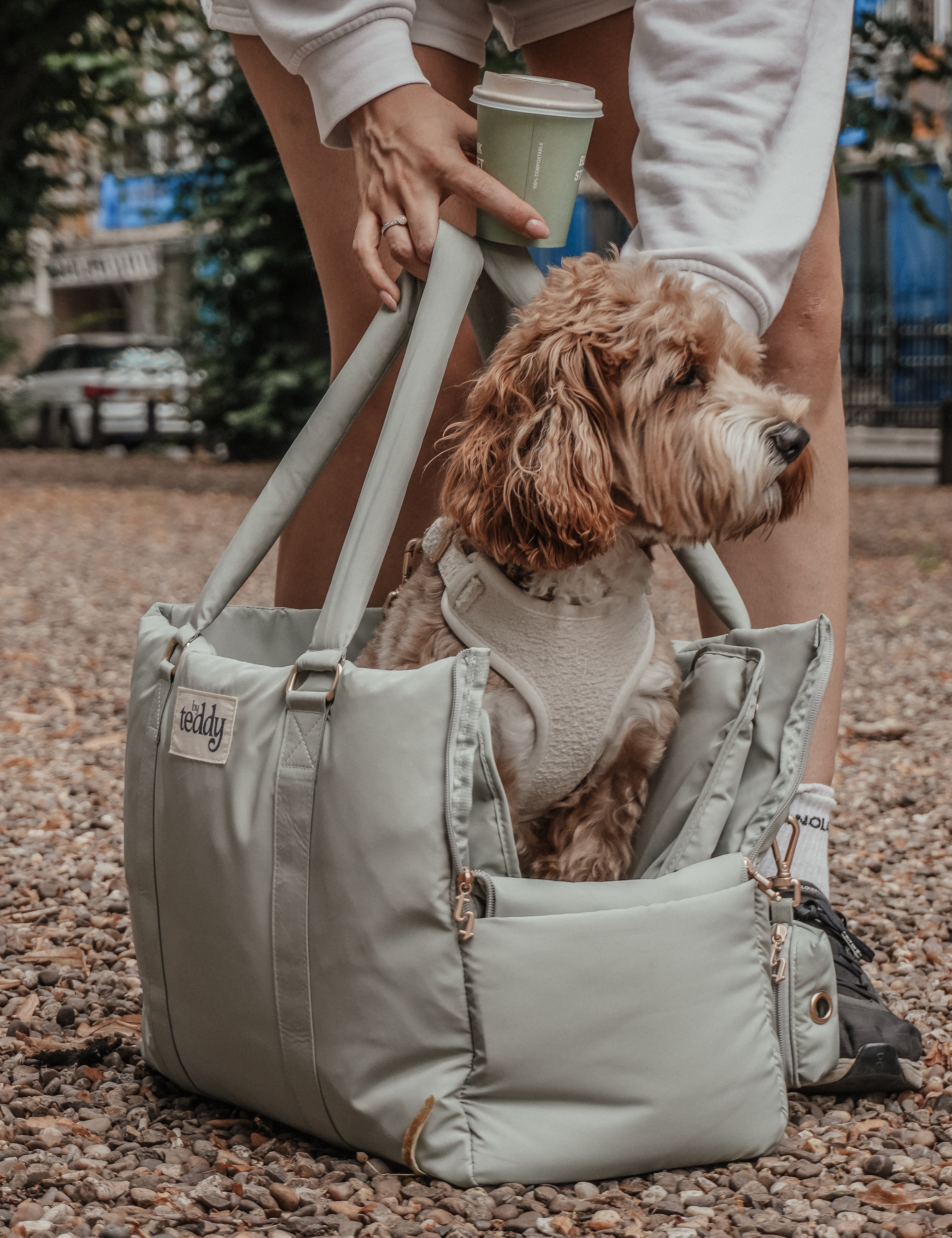 Matcha┃The Puffer Carrier