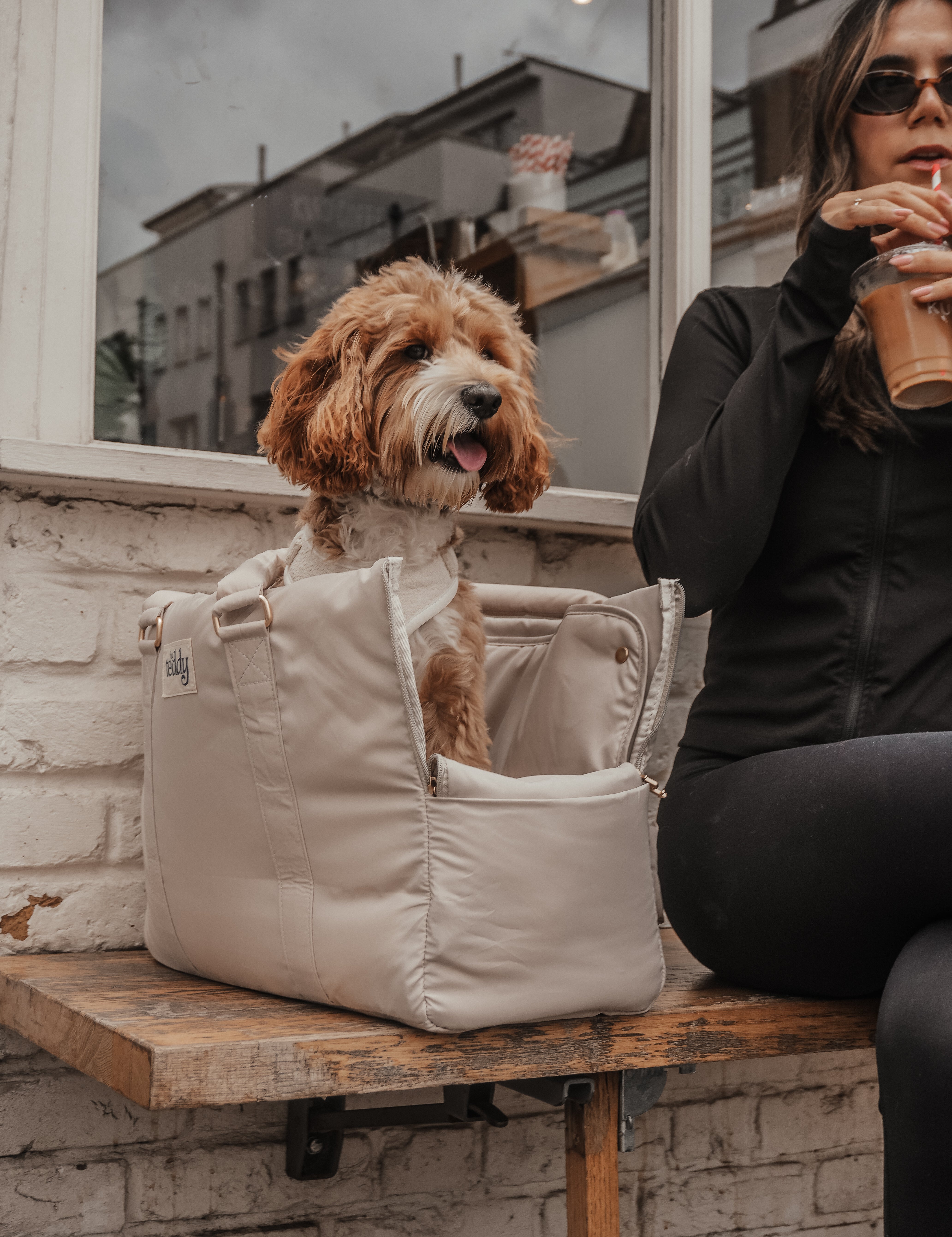 Hazelnut┃The Puffer Carrier