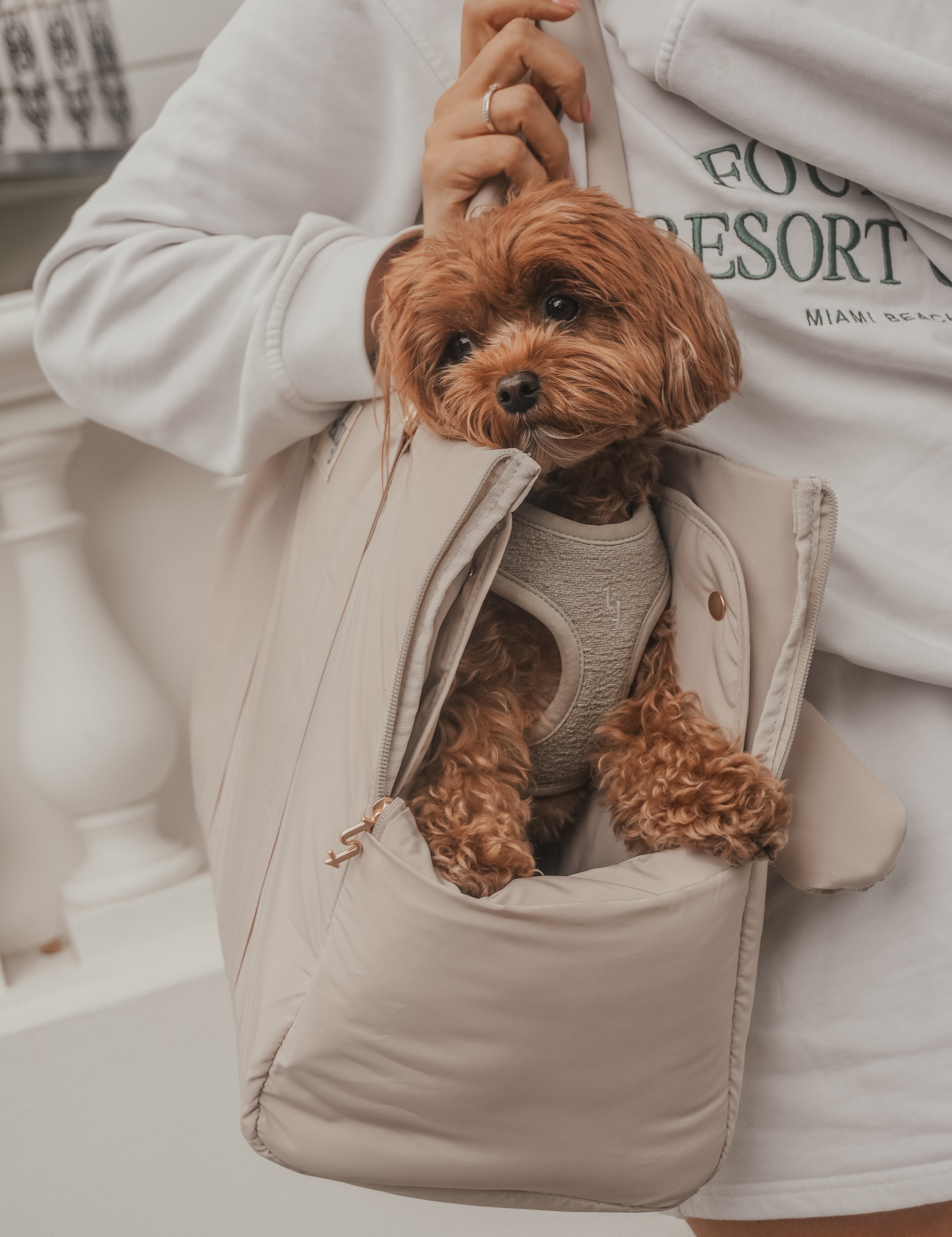 Hazelnut┃The Puffer Carrier