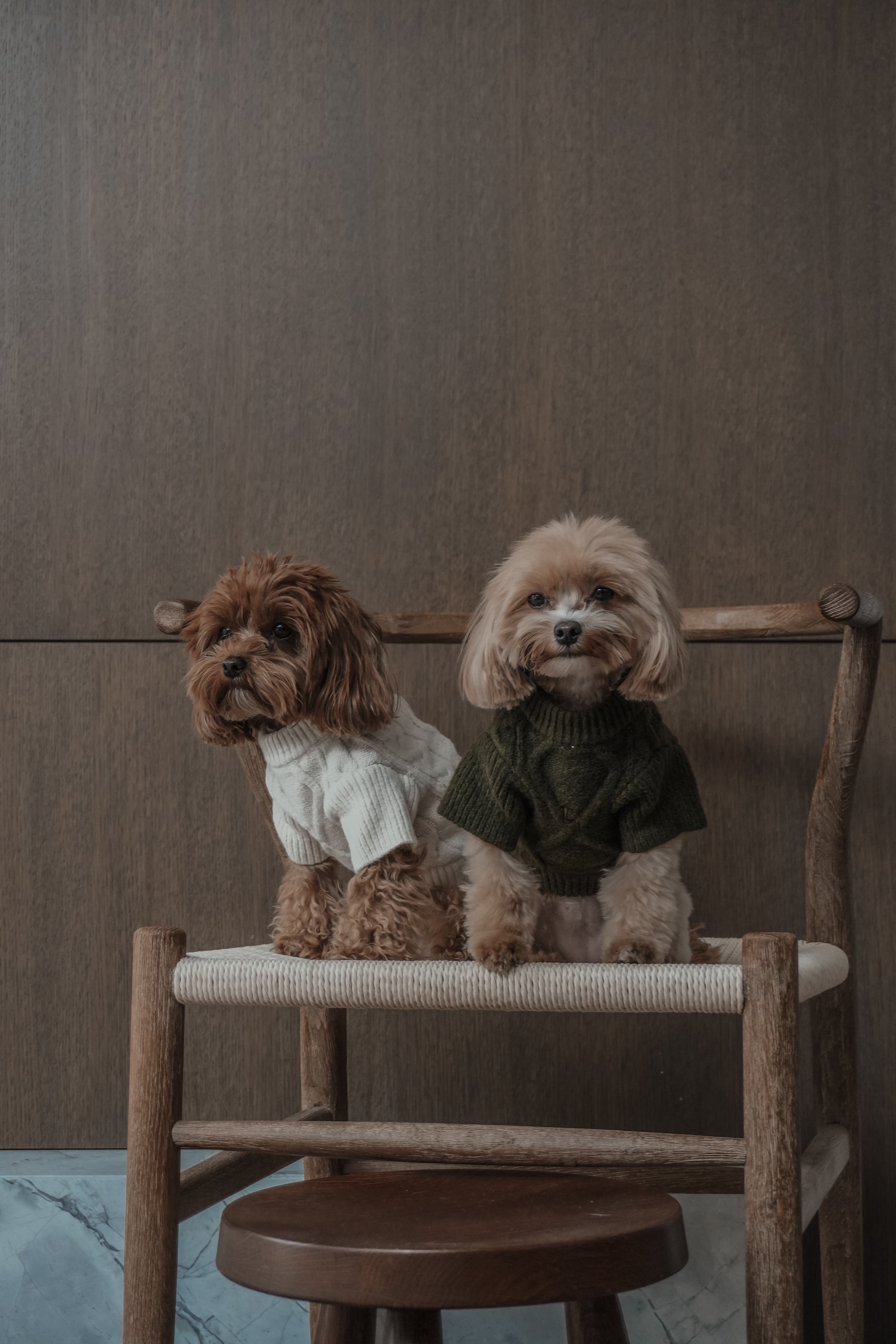 Hazelnut | The Capsule Fleece Bodysuit – By Teddy