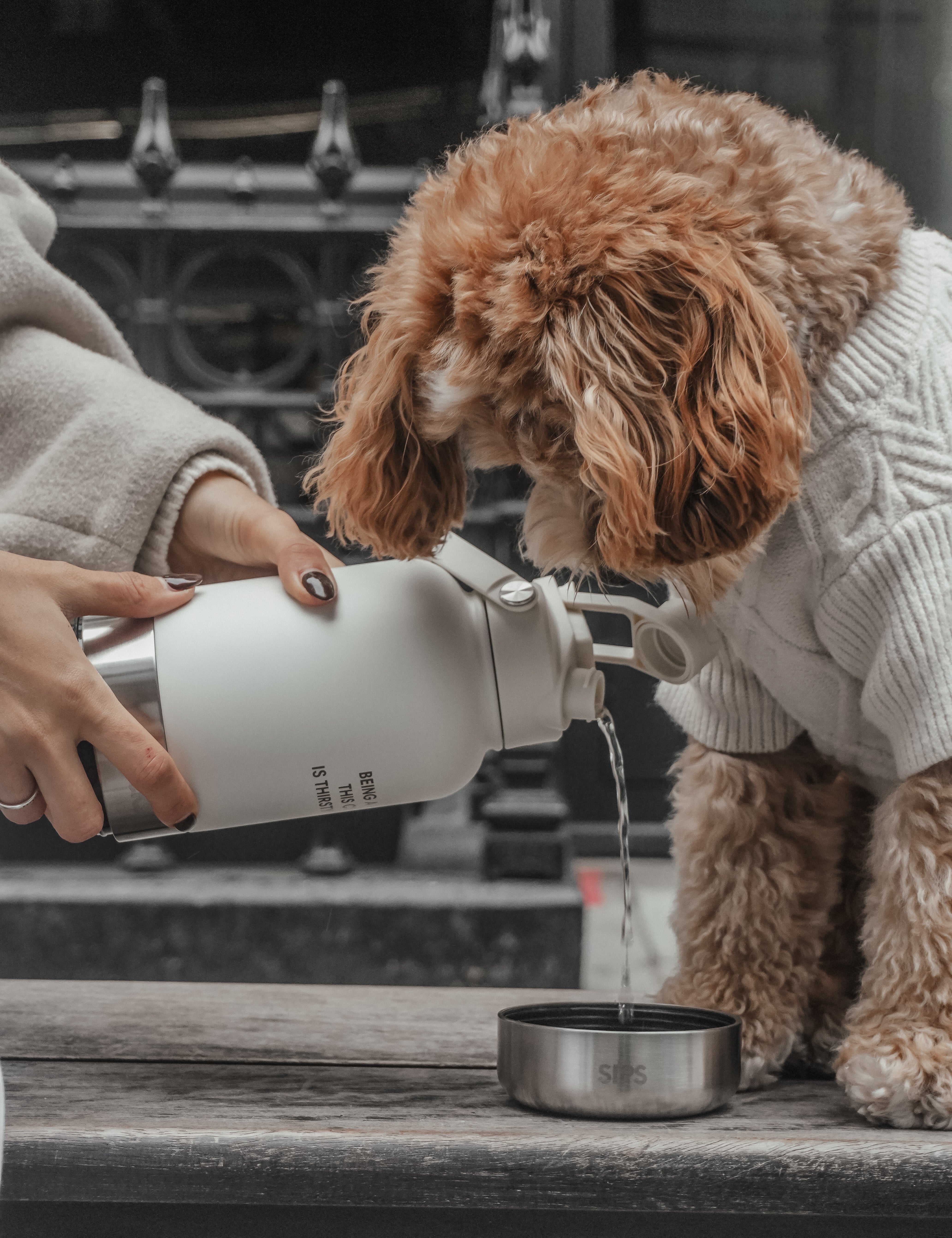 The Bowl Bottle 2.0 | 3-in-1 Travel Bottle