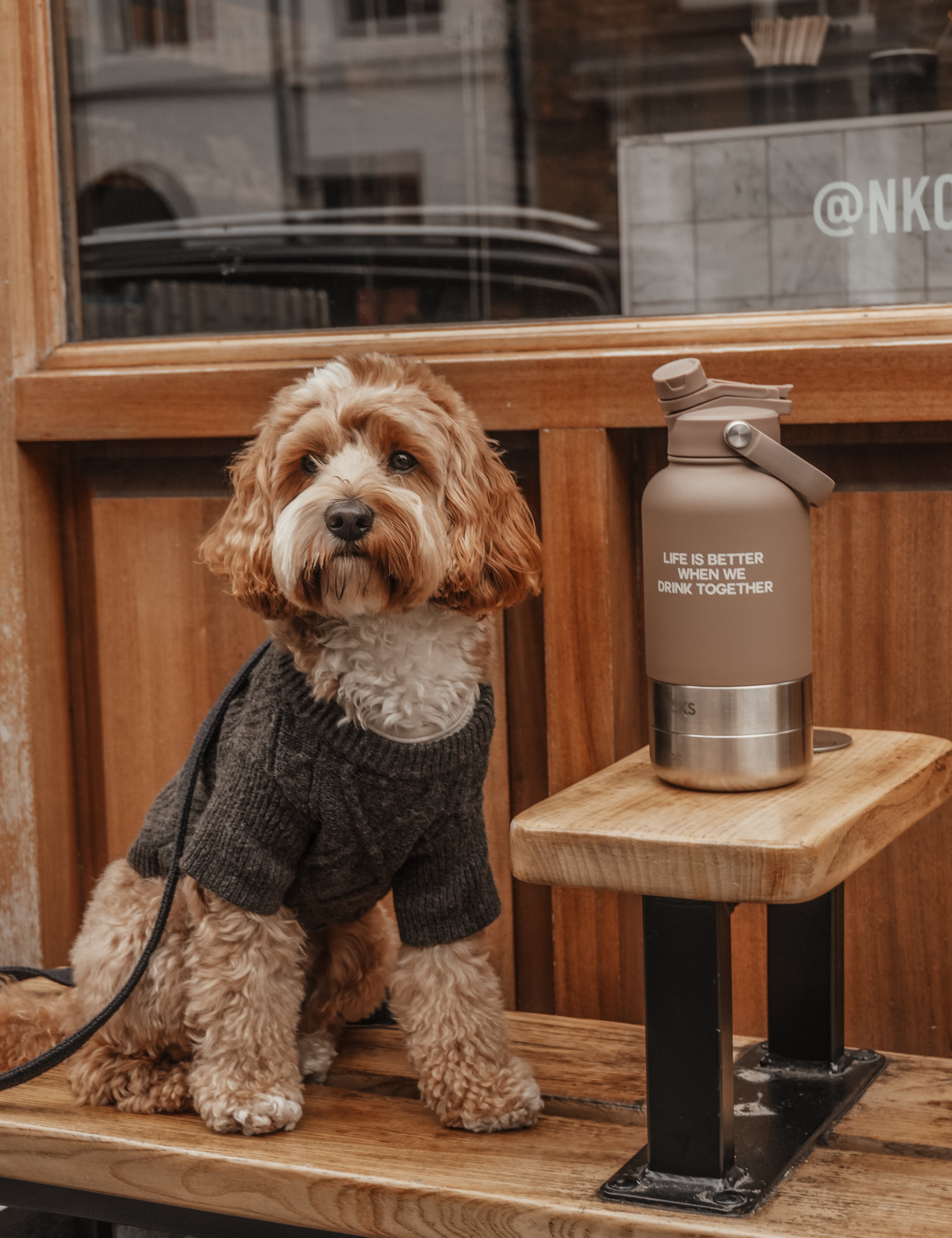 The Bowl Bottle 2.0 | 3-in-1 Travel Bottle