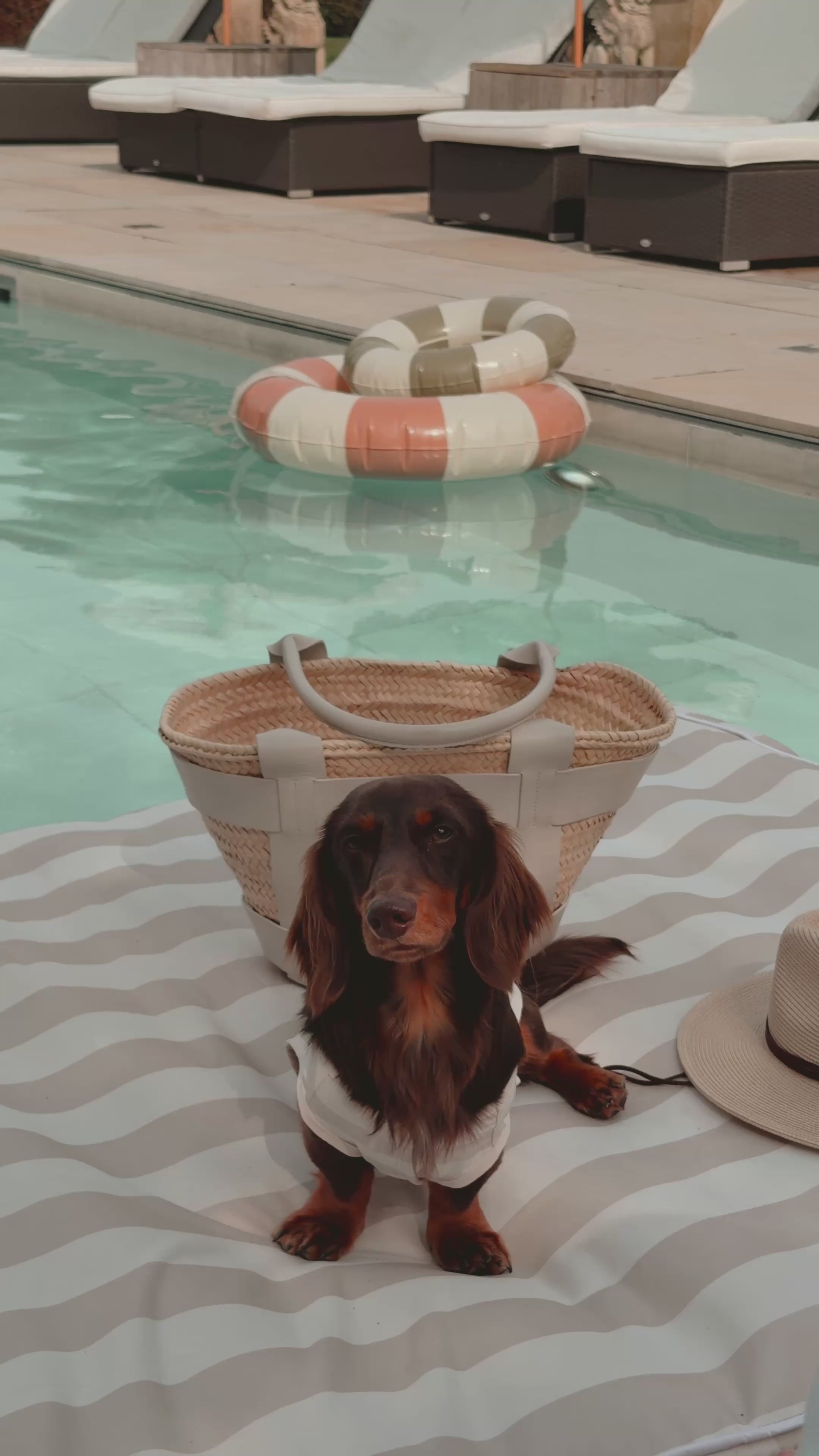Matcha Stripe | Summer Breeze Cooling Vest – By Teddy